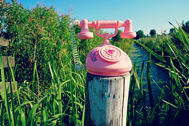 Ursula Preußer Bild